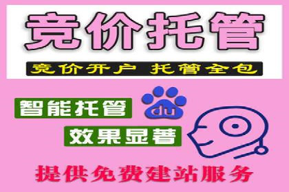 百度推广代运营案例：案例分享：打造行业领军品牌